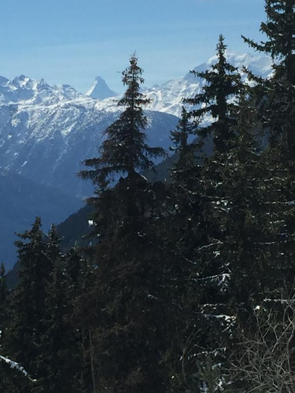 Apartament Haus Brunnen Riederalp Zewnętrze zdjęcie